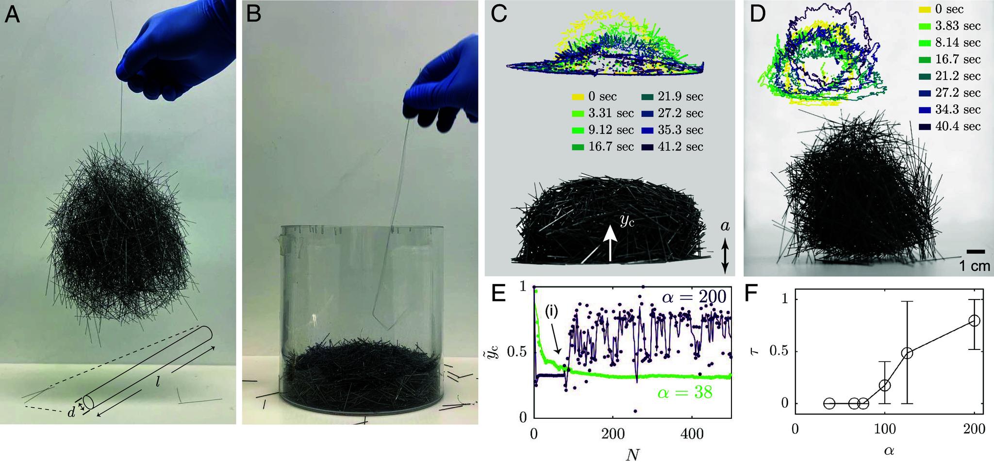 https://cdn.ncbi.nlm.nih.gov/pmc/blobs/5bea/11874019/854e625b32a3/pnas.2401868122fig01.jpg