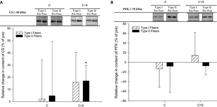 https://cdn.ncbi.nlm.nih.gov/pmc/blobs/5bea/6384299/c0ea1db8a06e/PHY2-7-e13976-g005.jpg