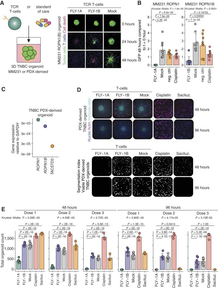 https://cdn.ncbi.nlm.nih.gov/pmc/blobs/5beb/11609630/729eea7c57c6/cd-24-0168fig4.jpg