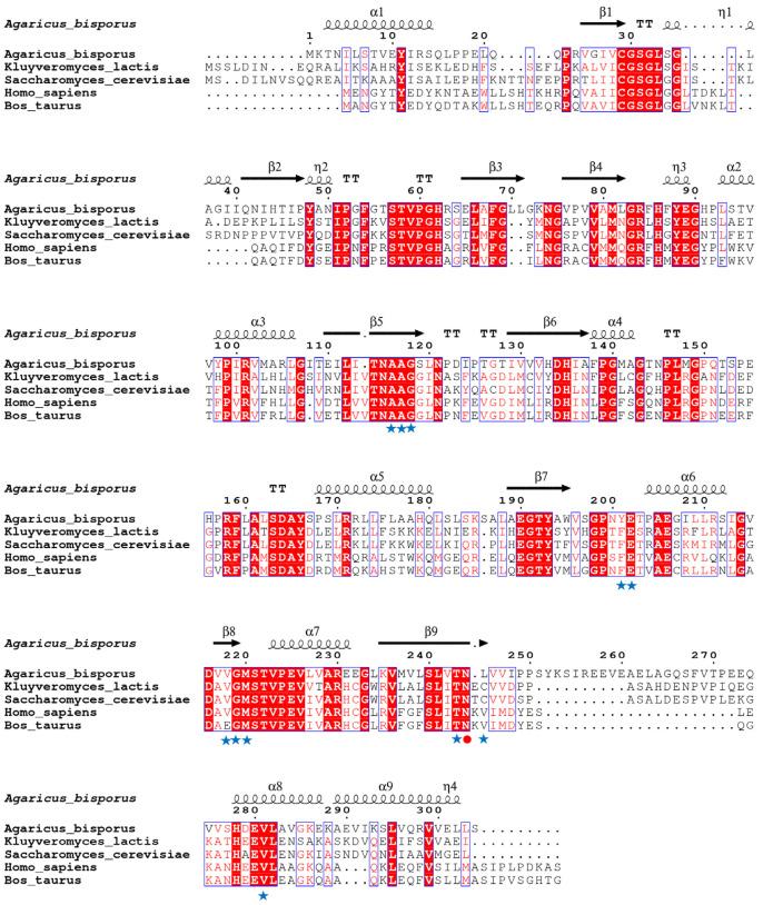 https://cdn.ncbi.nlm.nih.gov/pmc/blobs/5beb/12028538/9d43d1cab424/jof-11-00268-g002.jpg