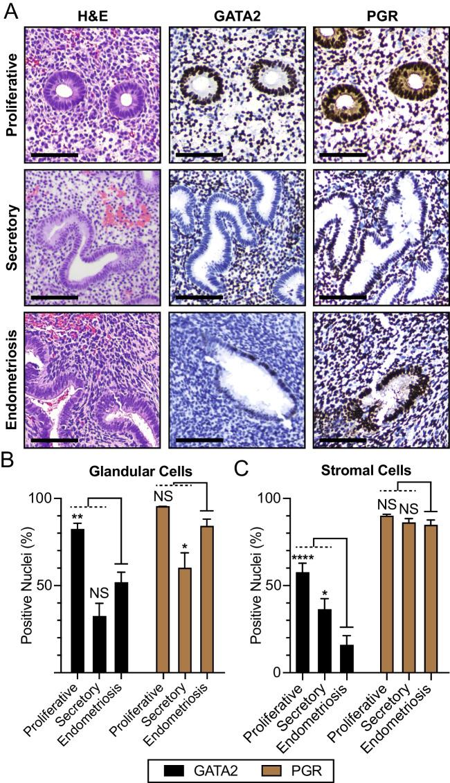 https://cdn.ncbi.nlm.nih.gov/pmc/blobs/5bec/11611939/6bd3bd004426/43032_2024_1730_Fig3_HTML.jpg