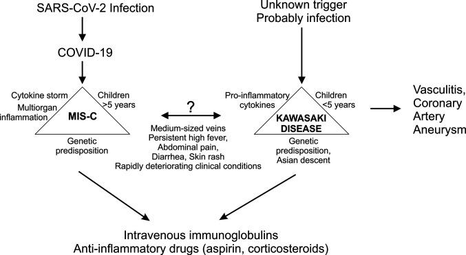https://cdn.ncbi.nlm.nih.gov/pmc/blobs/5bec/7870870/bb8be21376eb/fimmu-11-611318-g001.jpg