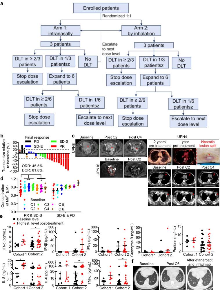 https://cdn.ncbi.nlm.nih.gov/pmc/blobs/5bee/7785004/0bcea00203d9/41422_2020_395_Fig7_HTML.jpg