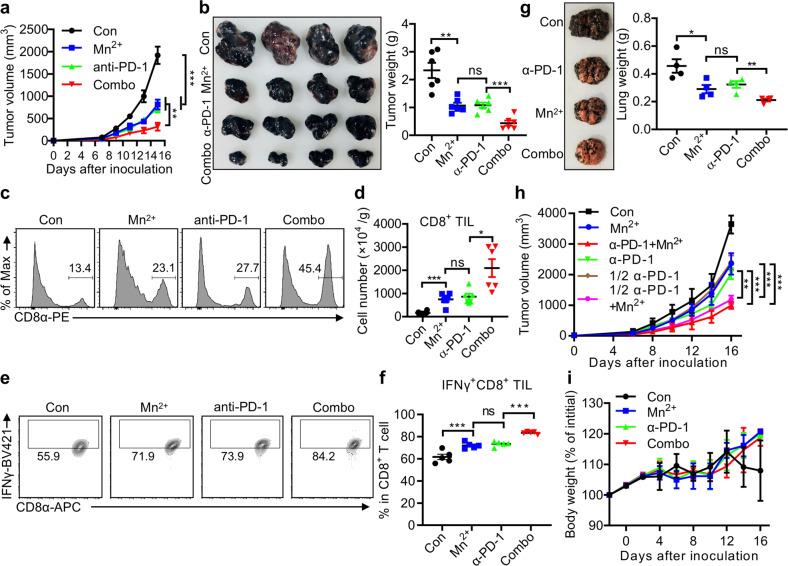 https://cdn.ncbi.nlm.nih.gov/pmc/blobs/5bee/7785004/282440246b35/41422_2020_395_Fig6_HTML.jpg
