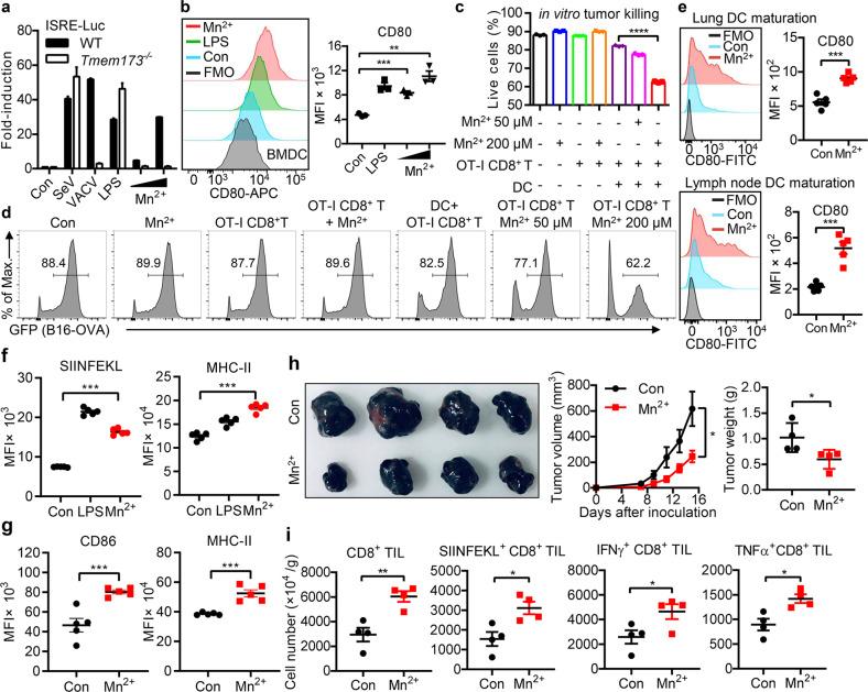 https://cdn.ncbi.nlm.nih.gov/pmc/blobs/5bee/7785004/50c14ea939eb/41422_2020_395_Fig3_HTML.jpg