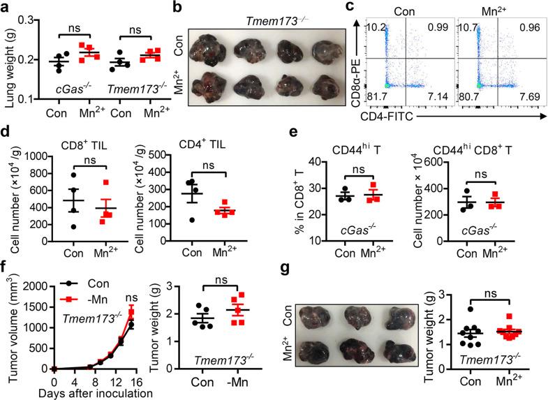 https://cdn.ncbi.nlm.nih.gov/pmc/blobs/5bee/7785004/7e9da98fab6b/41422_2020_395_Fig4_HTML.jpg