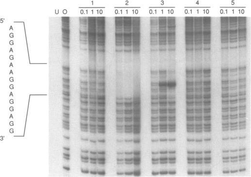 https://cdn.ncbi.nlm.nih.gov/pmc/blobs/5bef/309110/044528ad834b/nar00051-0153-a.jpg