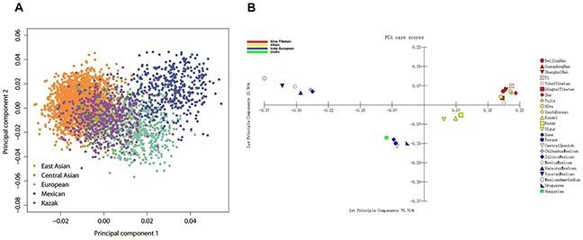 https://cdn.ncbi.nlm.nih.gov/pmc/blobs/5bf1/5593590/d82d84c4755c/oncotarget-08-56651-g003.jpg