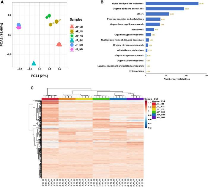 https://cdn.ncbi.nlm.nih.gov/pmc/blobs/5bf4/9562729/4e74d0c0dc81/fpls-13-998203-g002.jpg