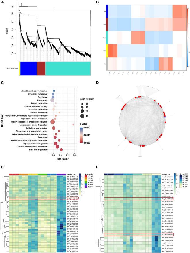 https://cdn.ncbi.nlm.nih.gov/pmc/blobs/5bf4/9562729/7220fee23841/fpls-13-998203-g005.jpg