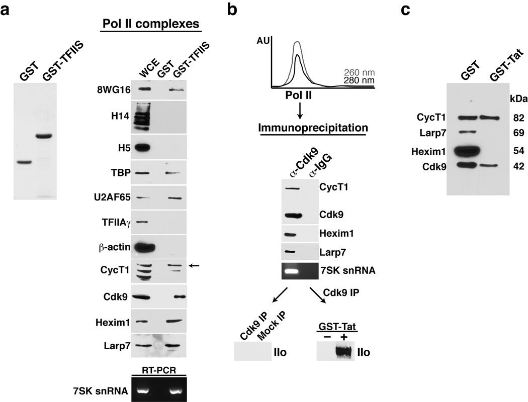 https://cdn.ncbi.nlm.nih.gov/pmc/blobs/5bf6/2921552/41062d998ddb/nihms223186f1.jpg