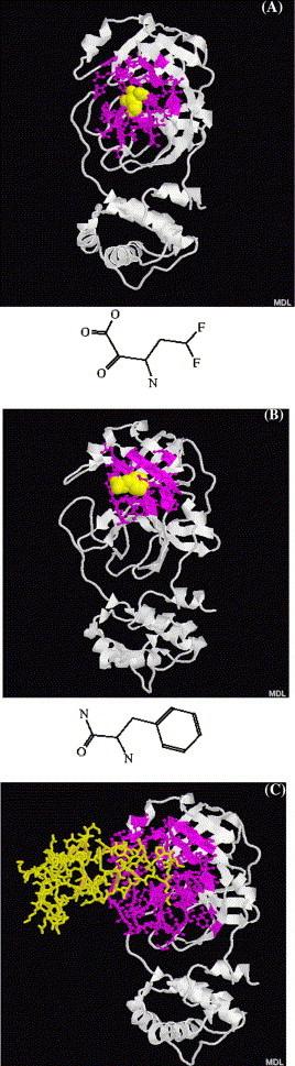 https://cdn.ncbi.nlm.nih.gov/pmc/blobs/5bf8/7125554/0a36fa3f9723/gr4.jpg