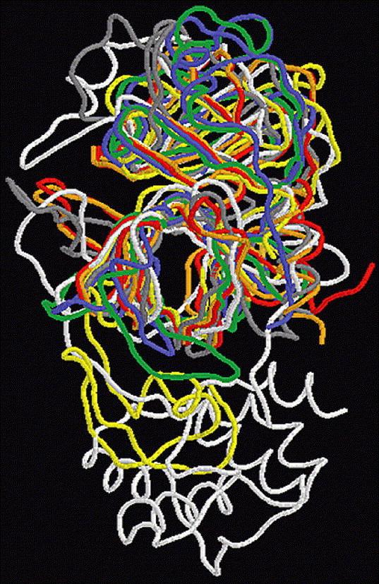https://cdn.ncbi.nlm.nih.gov/pmc/blobs/5bf8/7125554/140e4d6b2a5d/gr3.jpg