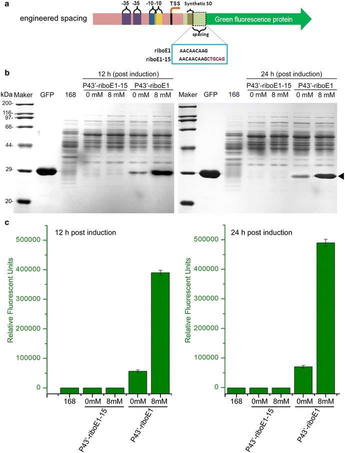 https://cdn.ncbi.nlm.nih.gov/pmc/blobs/5bfa/5120567/9b18ccf7a464/12934_2016_599_Fig5_HTML.jpg