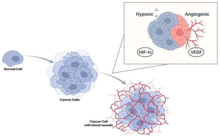 https://cdn.ncbi.nlm.nih.gov/pmc/blobs/5bfb/12347634/ad78d184e00e/ijms-26-07541-g002.jpg