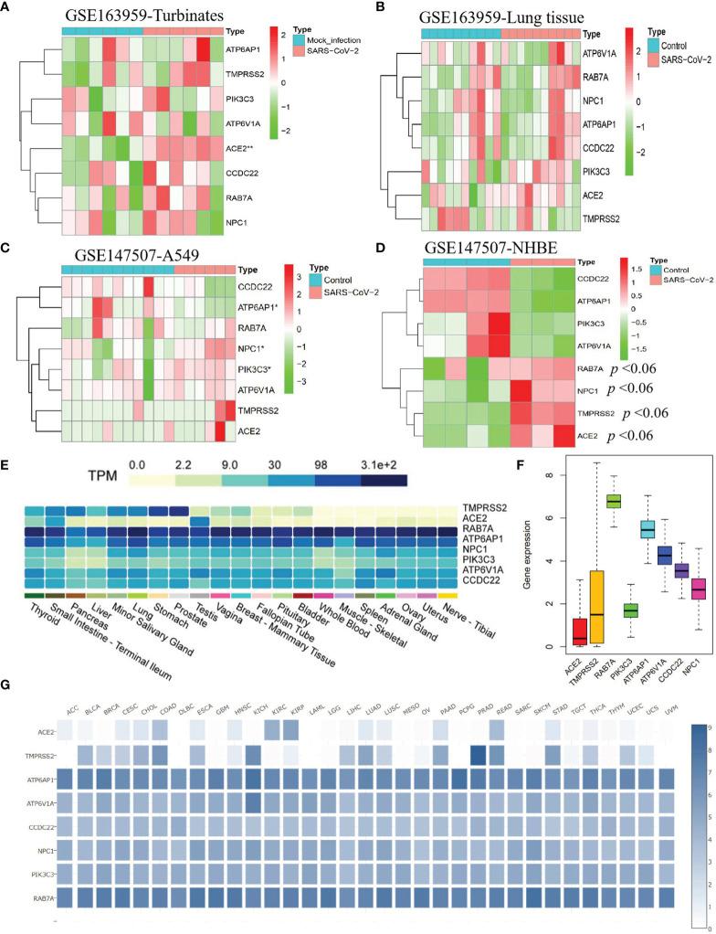 https://cdn.ncbi.nlm.nih.gov/pmc/blobs/5bfc/8784815/77d44714a2f2/fimmu-12-804387-g003.jpg