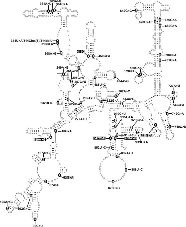 https://cdn.ncbi.nlm.nih.gov/pmc/blobs/5c01/3900107/4582688589d6/ddt49002.jpg