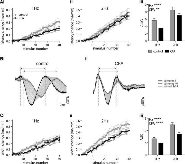 https://cdn.ncbi.nlm.nih.gov/pmc/blobs/5c02/5511880/21bdd3ce6a23/zns9991798570004.jpg