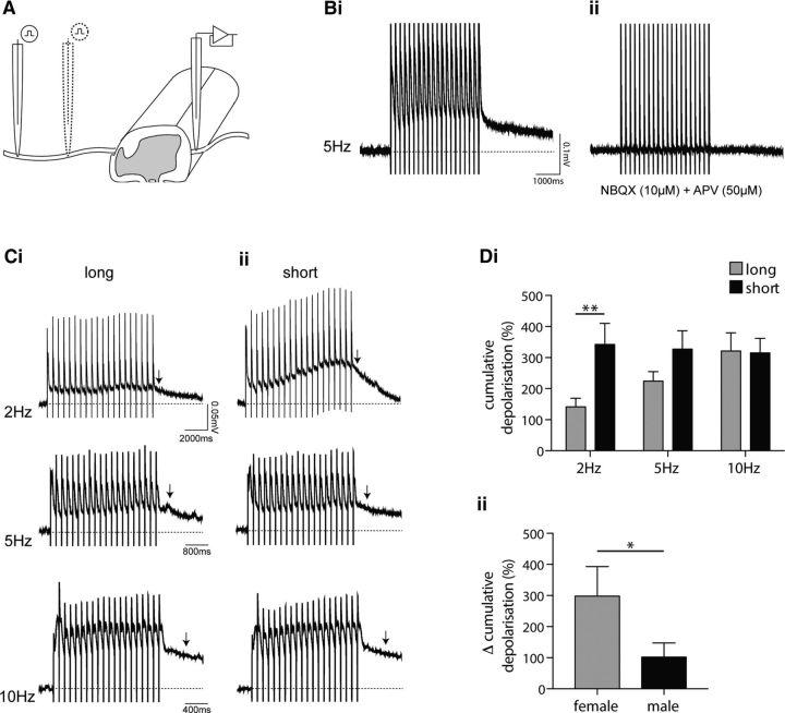 https://cdn.ncbi.nlm.nih.gov/pmc/blobs/5c02/5511880/41b0c2c65944/zns9991798570007.jpg