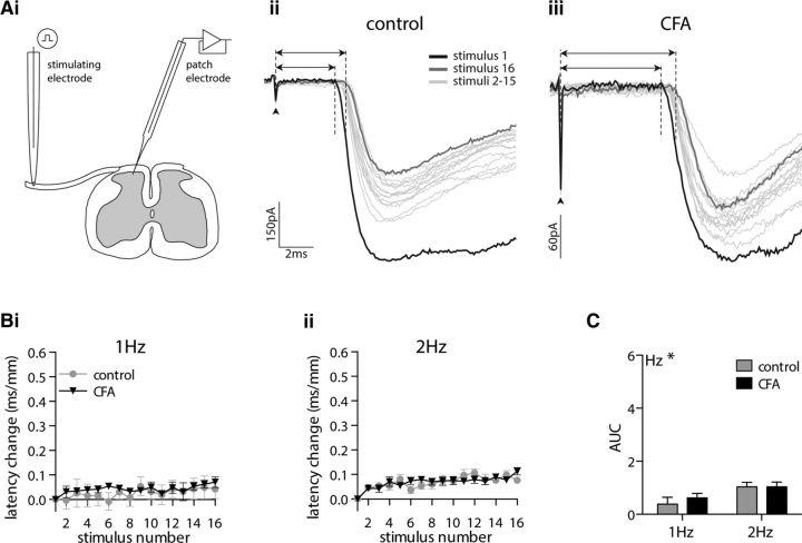 https://cdn.ncbi.nlm.nih.gov/pmc/blobs/5c02/5511880/bc2f21bd1b51/zns9991798570002.jpg
