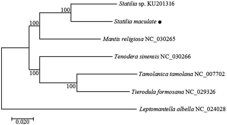 https://cdn.ncbi.nlm.nih.gov/pmc/blobs/5c02/7800993/861b8cebc254/TMDN_A_1250134_F0001_B.jpg