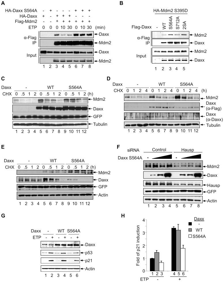 https://cdn.ncbi.nlm.nih.gov/pmc/blobs/5c08/3566025/7f361b91ccbe/pone.0055813.g004.jpg