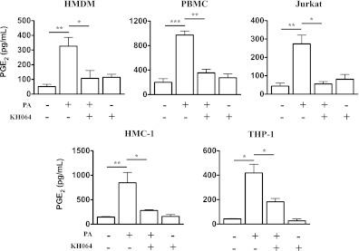 https://cdn.ncbi.nlm.nih.gov/pmc/blobs/5c09/3425408/2248f880c483/2320fig4.jpg
