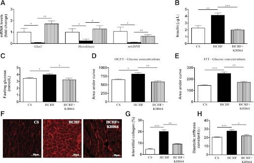 https://cdn.ncbi.nlm.nih.gov/pmc/blobs/5c09/3425408/5adbd3992e53/2320fig6.jpg