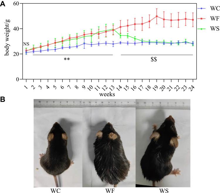 https://cdn.ncbi.nlm.nih.gov/pmc/blobs/5c09/9704011/b7ea029808f7/JIR-15-6409-g0001.jpg