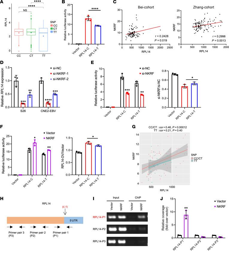 https://cdn.ncbi.nlm.nih.gov/pmc/blobs/5c0a/11684818/71cc2963137d/jci-135-182768-g138.jpg