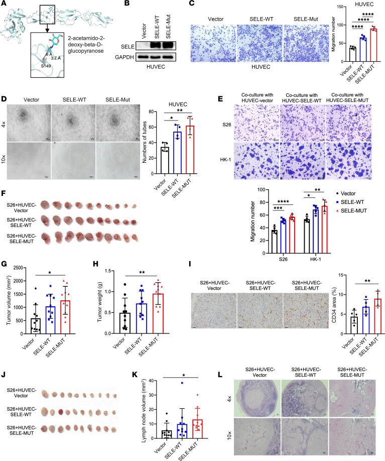 https://cdn.ncbi.nlm.nih.gov/pmc/blobs/5c0a/11684818/bb1be3b34d04/jci-135-182768-g141.jpg