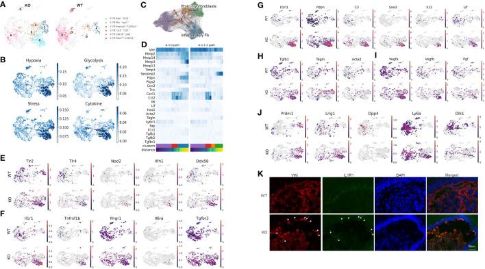 https://cdn.ncbi.nlm.nih.gov/pmc/blobs/5c0b/10557493/32b0409e9542/fimmu-14-1211505-g002.jpg