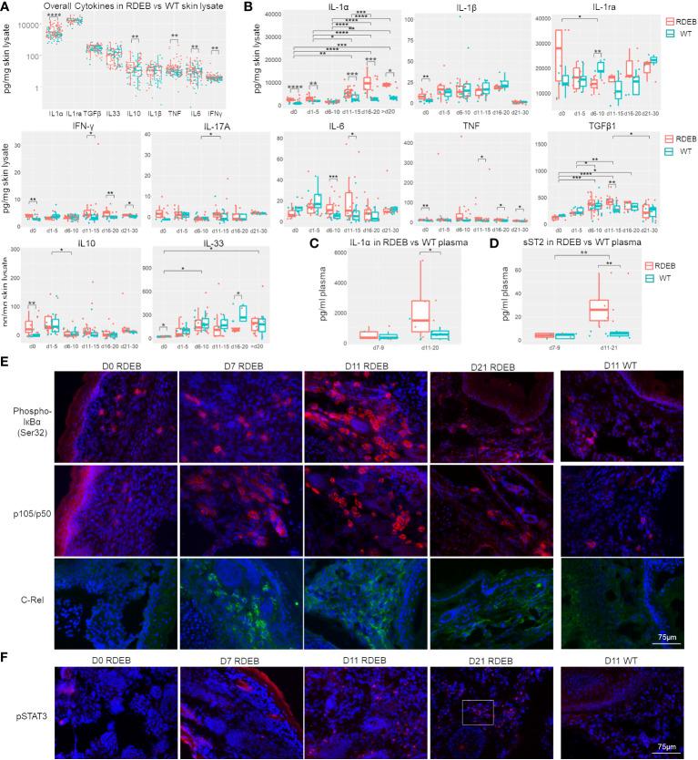 https://cdn.ncbi.nlm.nih.gov/pmc/blobs/5c0b/10557493/45ceca09efa8/fimmu-14-1211505-g005.jpg