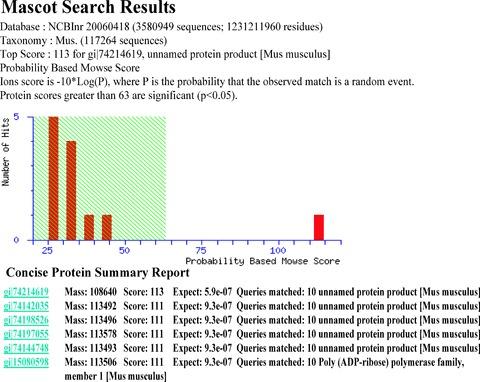 https://cdn.ncbi.nlm.nih.gov/pmc/blobs/5c0c/4514111/b7388087755f/jcmm0012-2319-f2.jpg