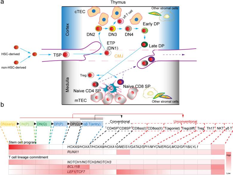 https://cdn.ncbi.nlm.nih.gov/pmc/blobs/5c0d/9107657/3987f9b07f83/40164_2022_285_Fig1_HTML.jpg