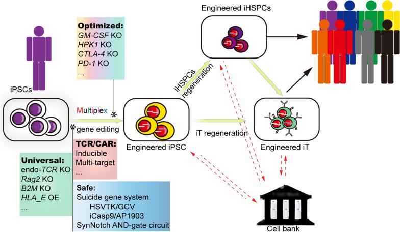https://cdn.ncbi.nlm.nih.gov/pmc/blobs/5c0d/9107657/cdc721760c70/40164_2022_285_Fig6_HTML.jpg