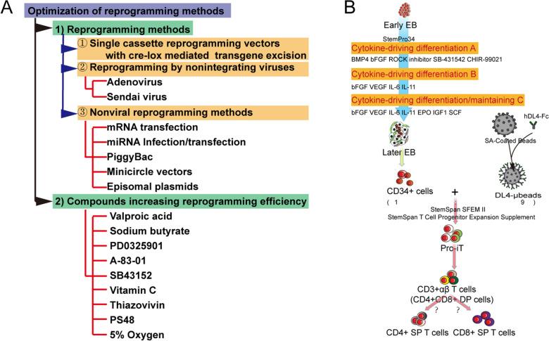 https://cdn.ncbi.nlm.nih.gov/pmc/blobs/5c0d/9107657/edef1fb958b0/40164_2022_285_Fig7_HTML.jpg