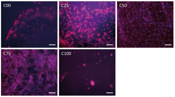 https://cdn.ncbi.nlm.nih.gov/pmc/blobs/5c0e/11769321/821396808cdf/polymers-17-00140-g006.jpg