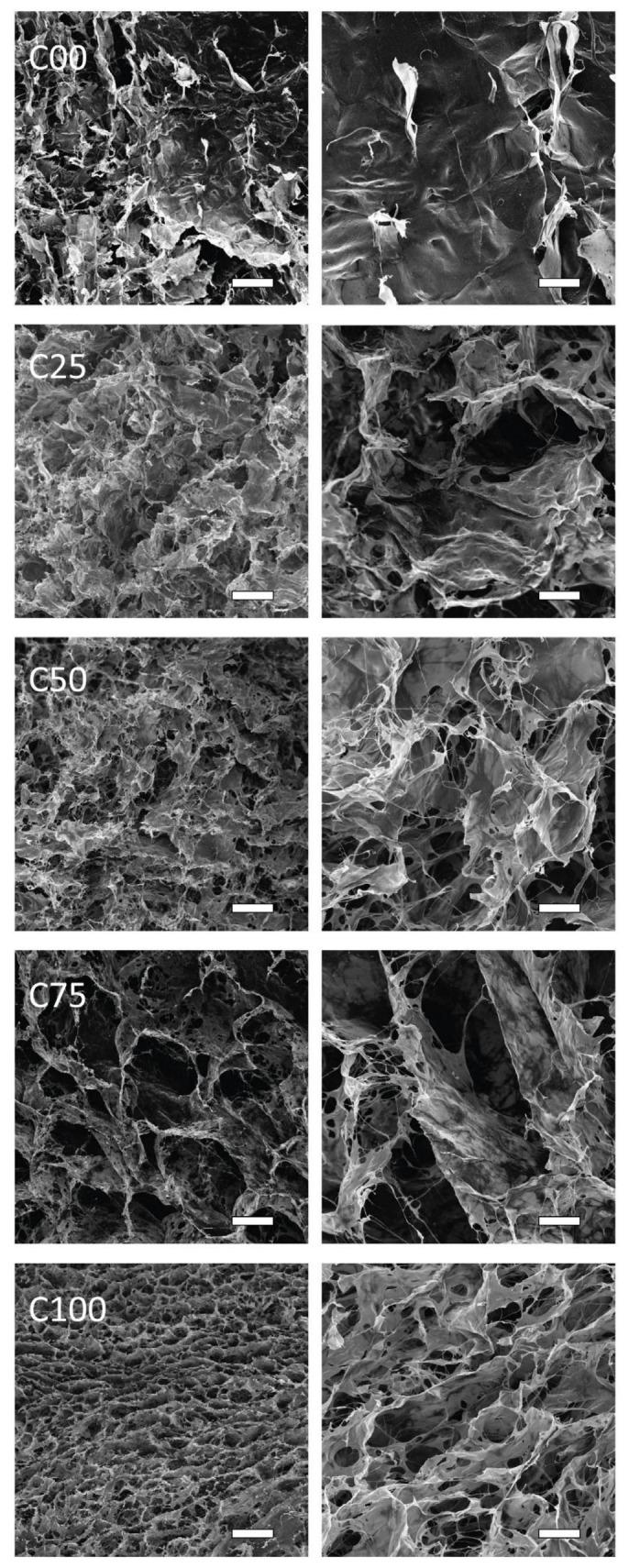 https://cdn.ncbi.nlm.nih.gov/pmc/blobs/5c0e/11769321/c5520adc869f/polymers-17-00140-g003.jpg