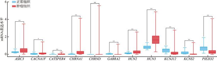 https://cdn.ncbi.nlm.nih.gov/pmc/blobs/5c0f/10495249/6d598d73cfb7/1008-9292-2023-52-4-499-g001.jpg