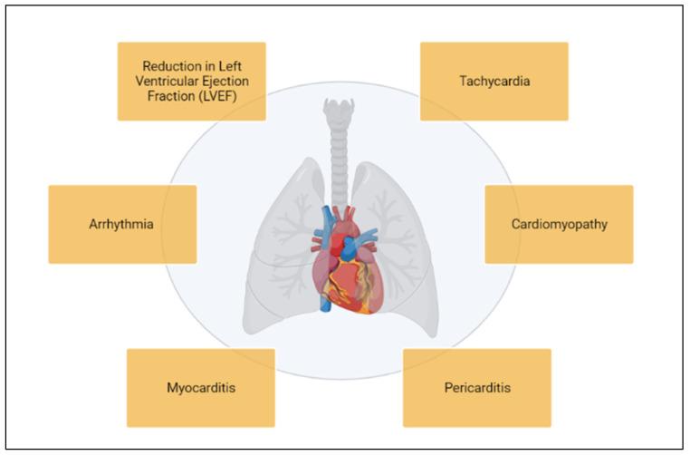 https://cdn.ncbi.nlm.nih.gov/pmc/blobs/5c0f/11987928/84013913915d/cancers-17-01059-g001.jpg