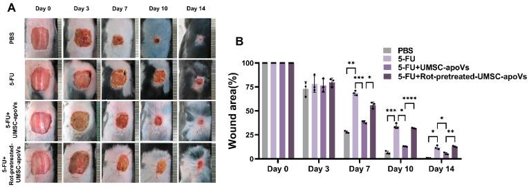 https://cdn.ncbi.nlm.nih.gov/pmc/blobs/5c0f/12030720/28b71e4e354a/pharmaceutics-17-00453-g004.jpg