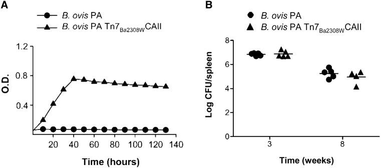 https://cdn.ncbi.nlm.nih.gov/pmc/blobs/5c0f/6126018/2b5d53681e11/13567_2018_583_Fig6_HTML.jpg