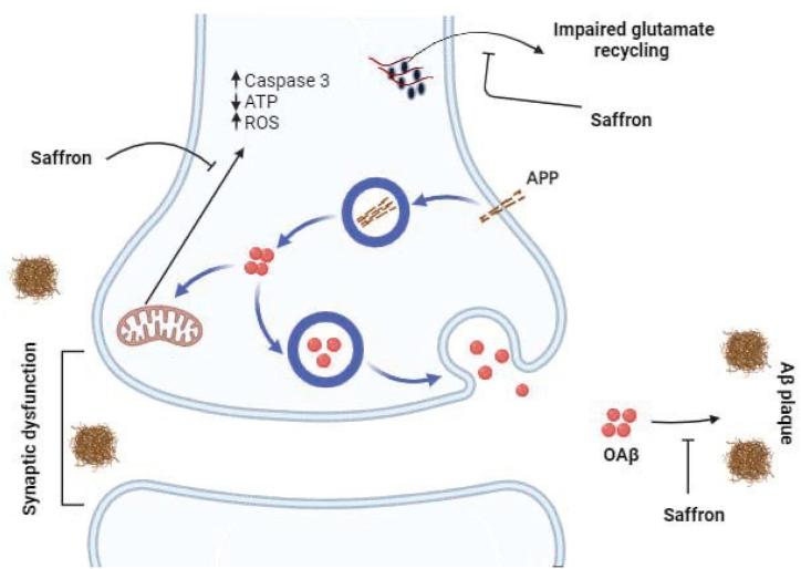 https://cdn.ncbi.nlm.nih.gov/pmc/blobs/5c10/10827773/cef317a9c340/gr1.jpg