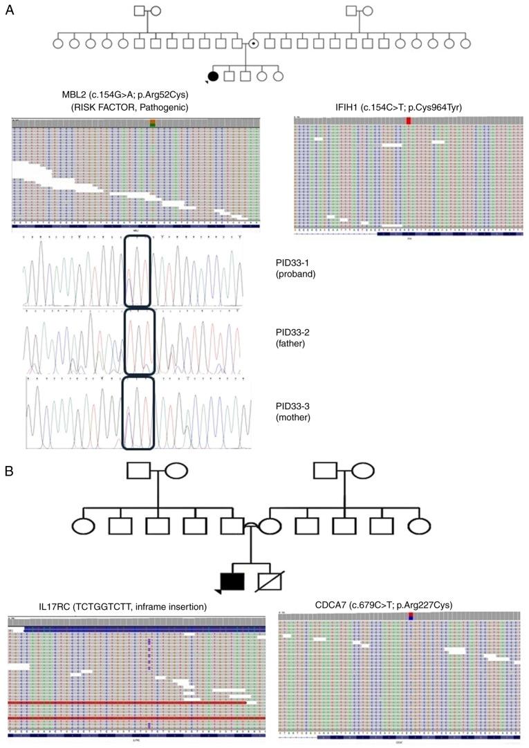 https://cdn.ncbi.nlm.nih.gov/pmc/blobs/5c10/11391178/20153657561c/br-21-05-01848-g02.jpg