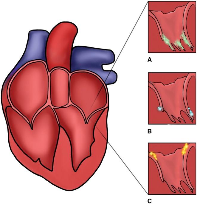 https://cdn.ncbi.nlm.nih.gov/pmc/blobs/5c10/6176972/d96df547a08f/yty094f3.jpg