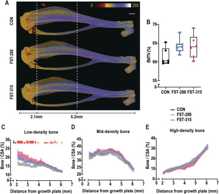 https://cdn.ncbi.nlm.nih.gov/pmc/blobs/5c10/8046154/b78419cc110f/JBM4-5-e10477-g004.jpg