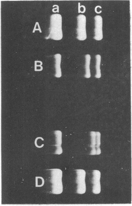 https://cdn.ncbi.nlm.nih.gov/pmc/blobs/5c11/324309/19d85eac3317/nar00439-0267-a.jpg
