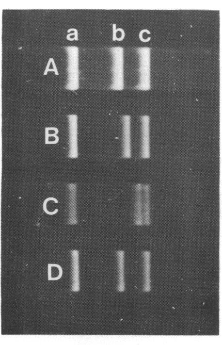 https://cdn.ncbi.nlm.nih.gov/pmc/blobs/5c11/324309/4ca7c603c203/nar00439-0268-c.jpg