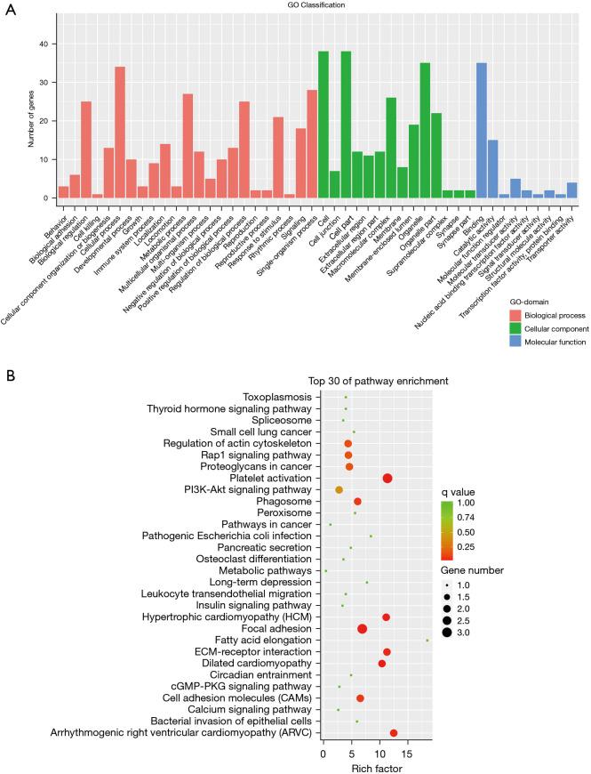 https://cdn.ncbi.nlm.nih.gov/pmc/blobs/5c11/8576659/244539794bab/atm-09-20-1589-f2.jpg